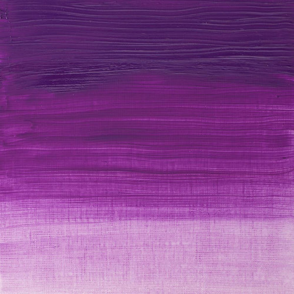 VIOLA DI COBALTO - PROFESSIONALE