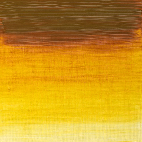 GIALLO INDIANO SCURO - PROFESSIONALE