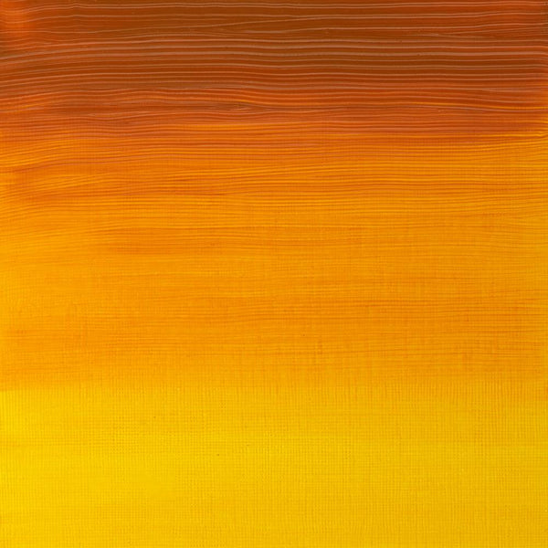 GIALLO INDIANO - PROFESSIONALE