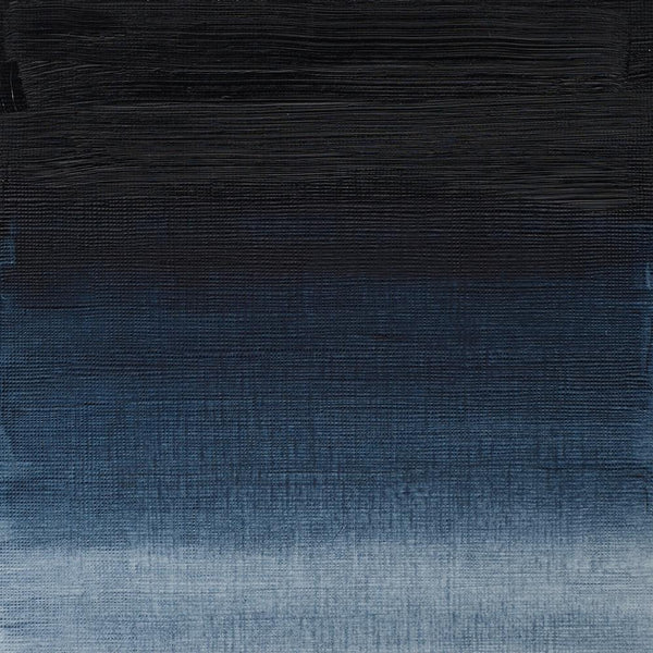 INDIGO - PROFESSIONALE