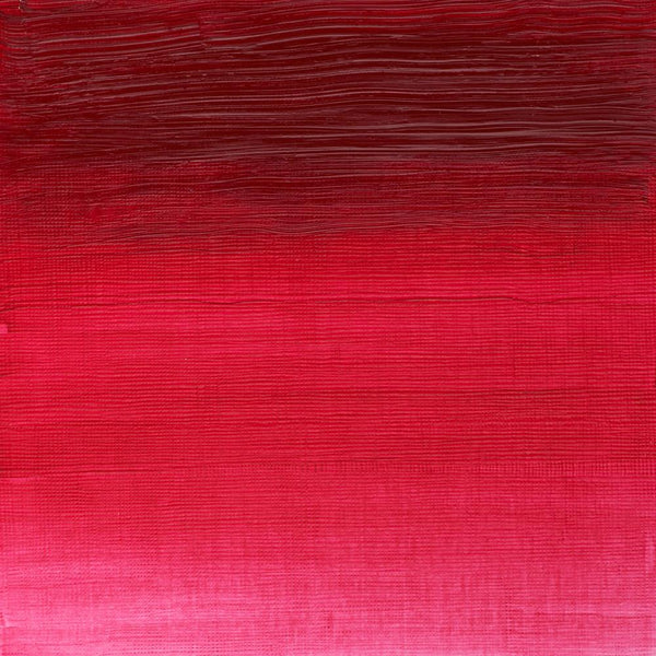 ROSA PERMANENTE - PROFESSIONALE